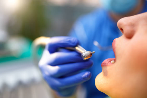 Professional Holistic Dental Care Services in New Freedom, PA